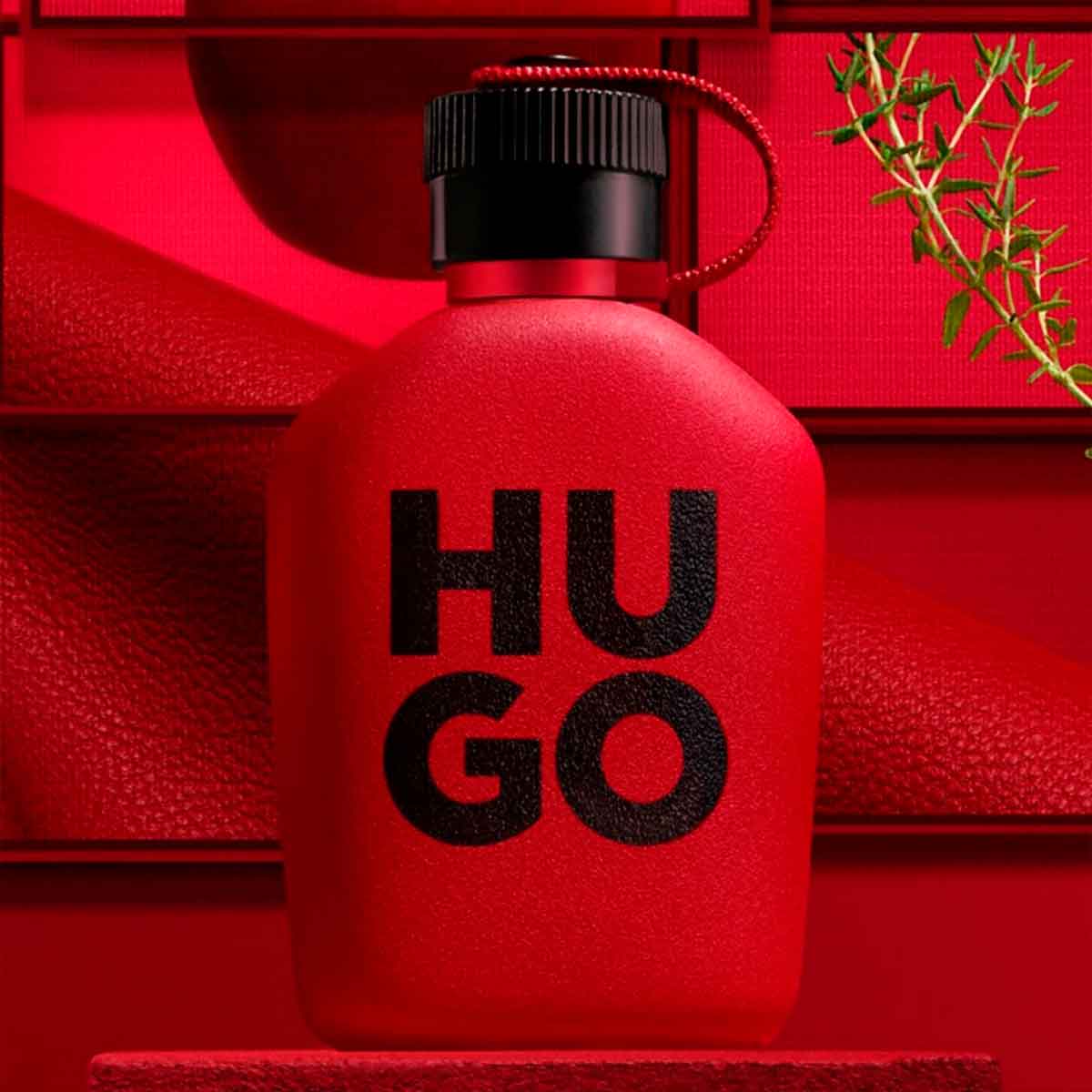 Hugo Intense - Aromática CR
