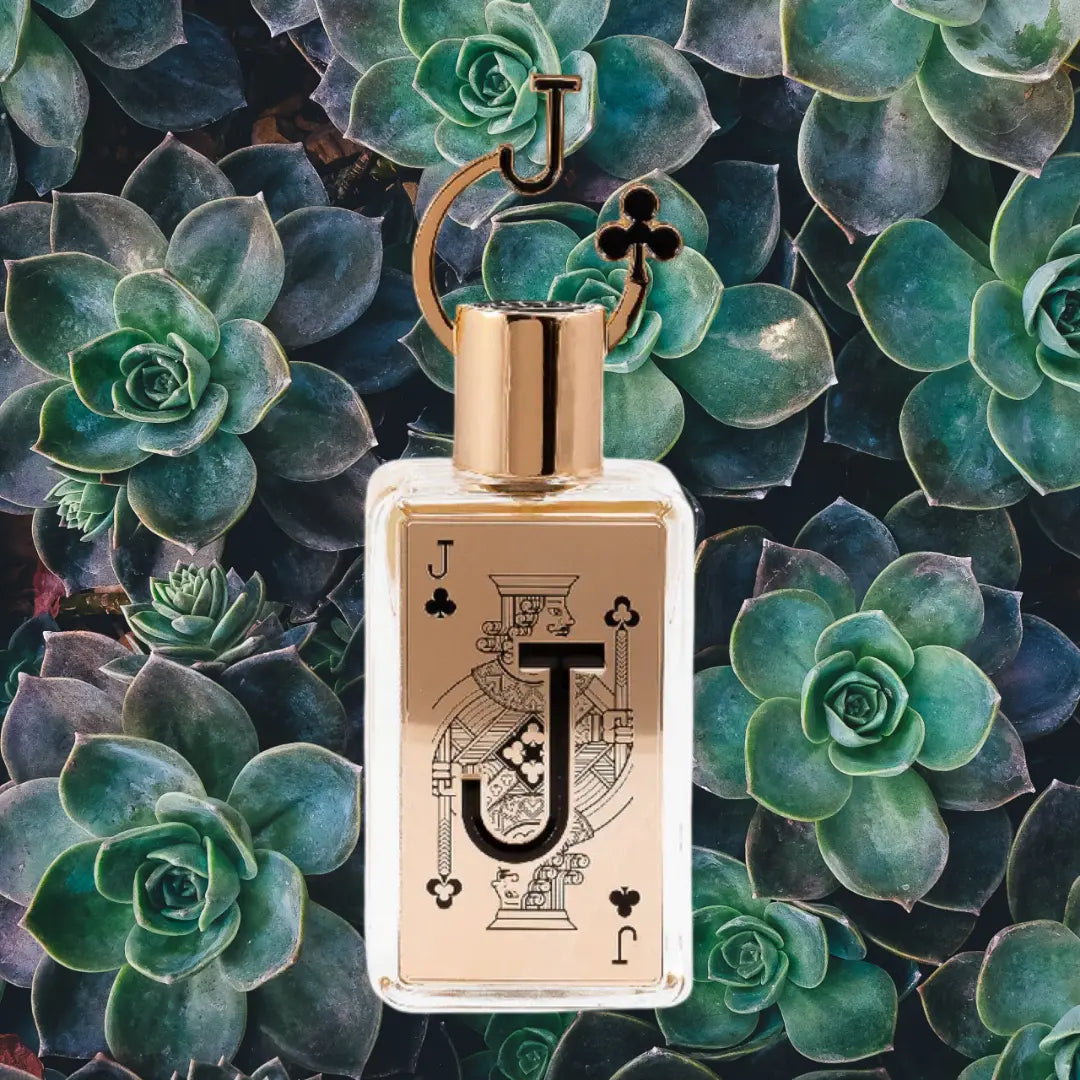 Jack - Aromática CR