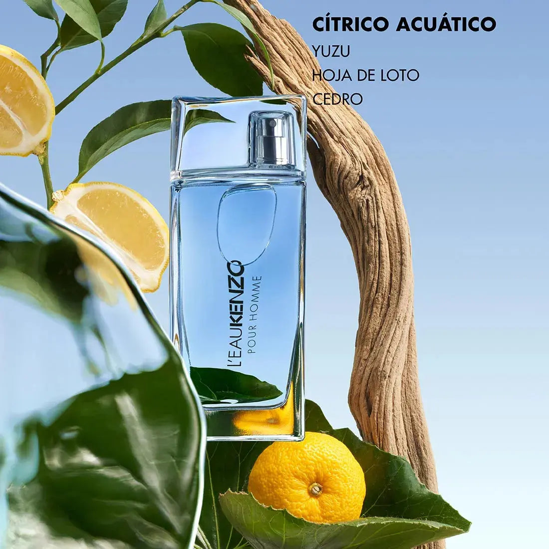 L'eau Kenzo Pour Homme - Aromática CR