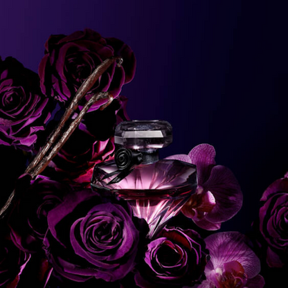 La Nuit Trésor - Aromática CR