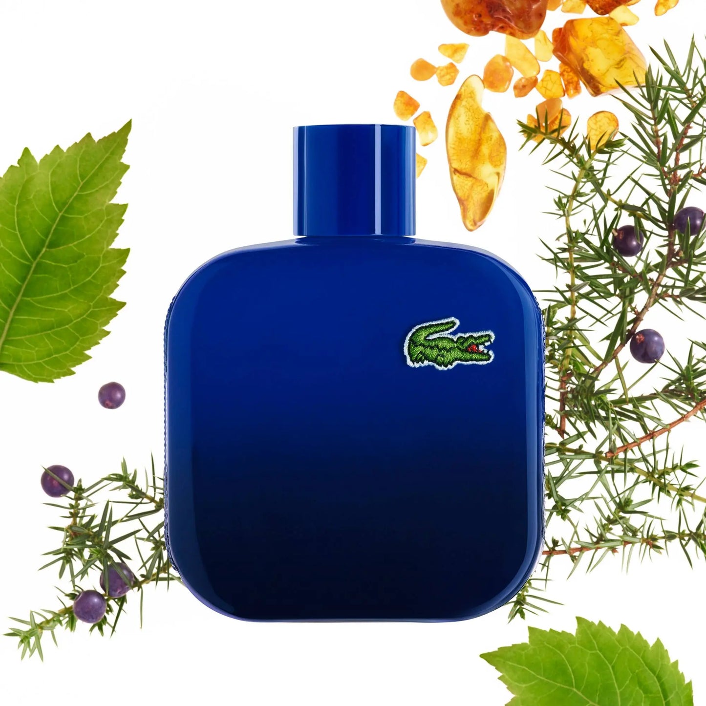 Lacoste L.12.12 Magnetic Azul EDT para hombre 100 ml - Aromática CR