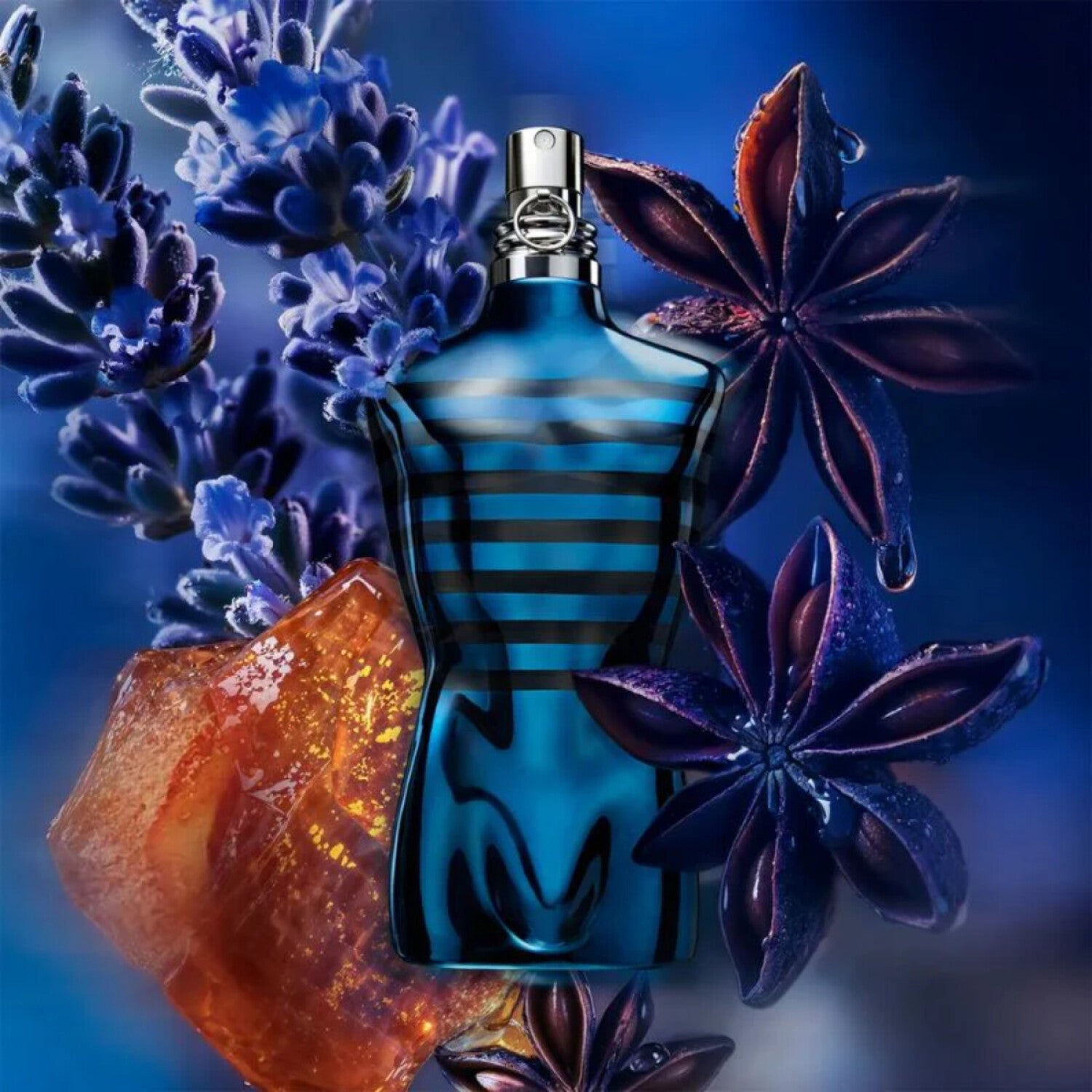 Le Male In Blue - Aromática CR