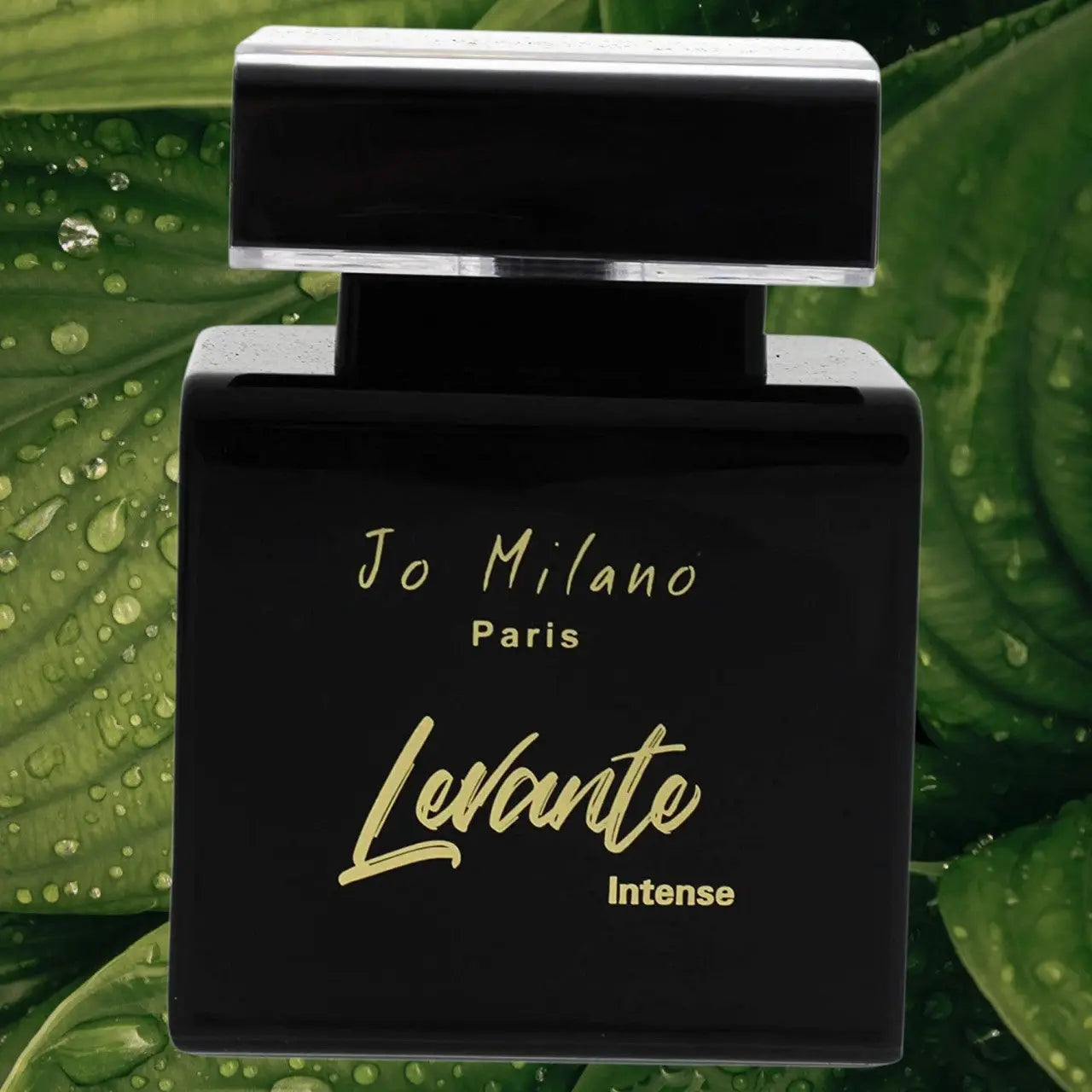 Levante Intense - Aromática CR