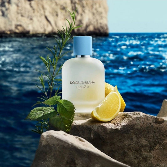 Light Blue Pour Homme - Aromática CR