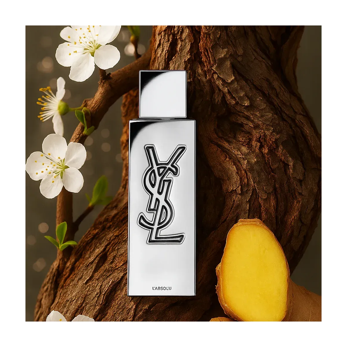 MYSLF L’Absolu - Aromática CR