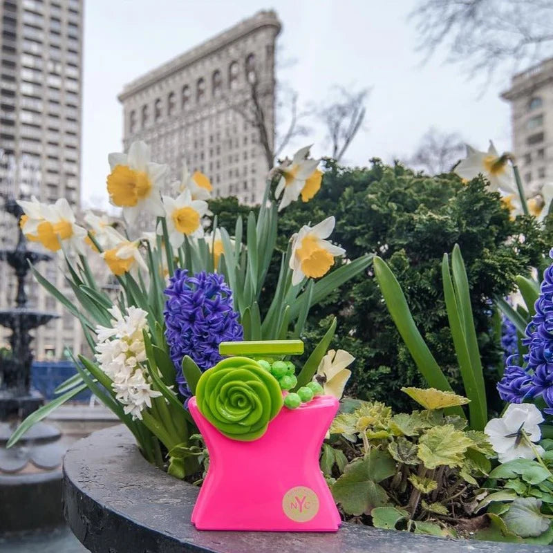 Madison Square Park - Aromática CR