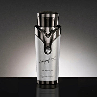 Magnificent Pour Homme - Aromática CR