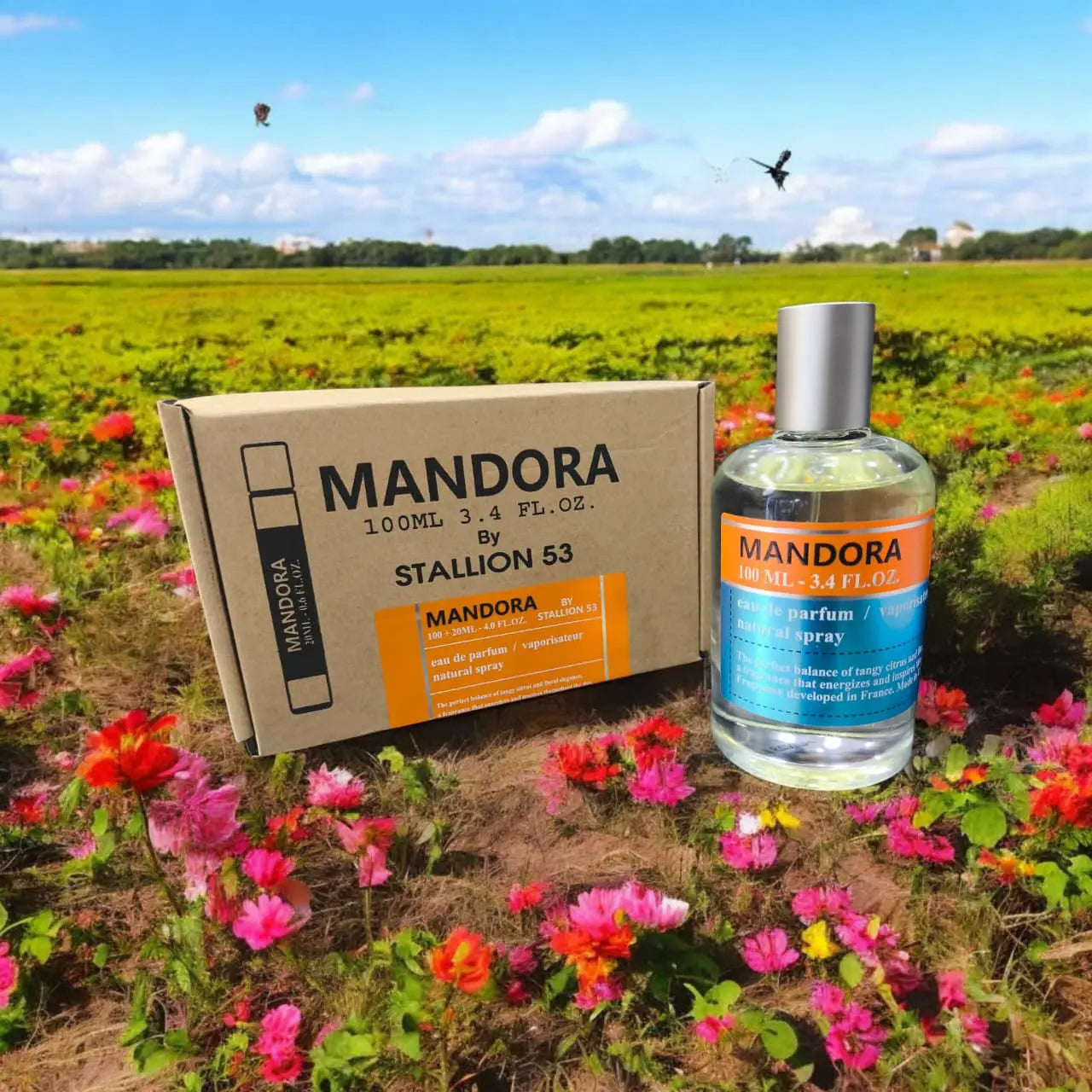 Mandora Stallion 53 - Aromática CR