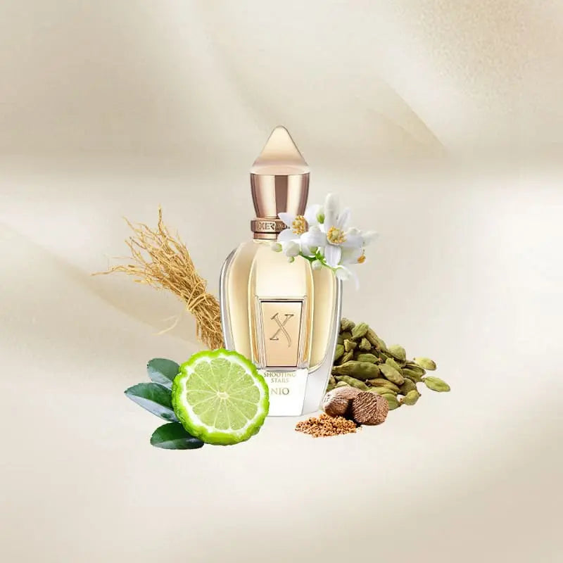 Xerjoff Nio en Costa Rica – Aromática CR
