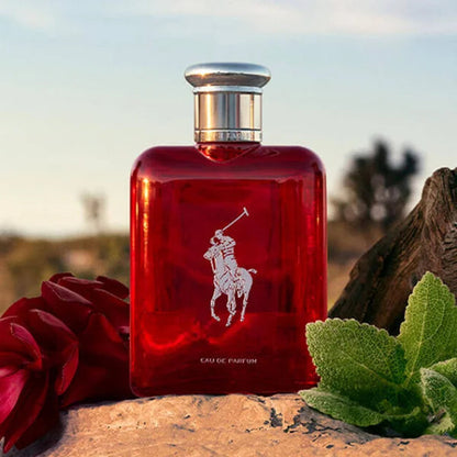 Polo Red Eau de Parfum - Aromática CR