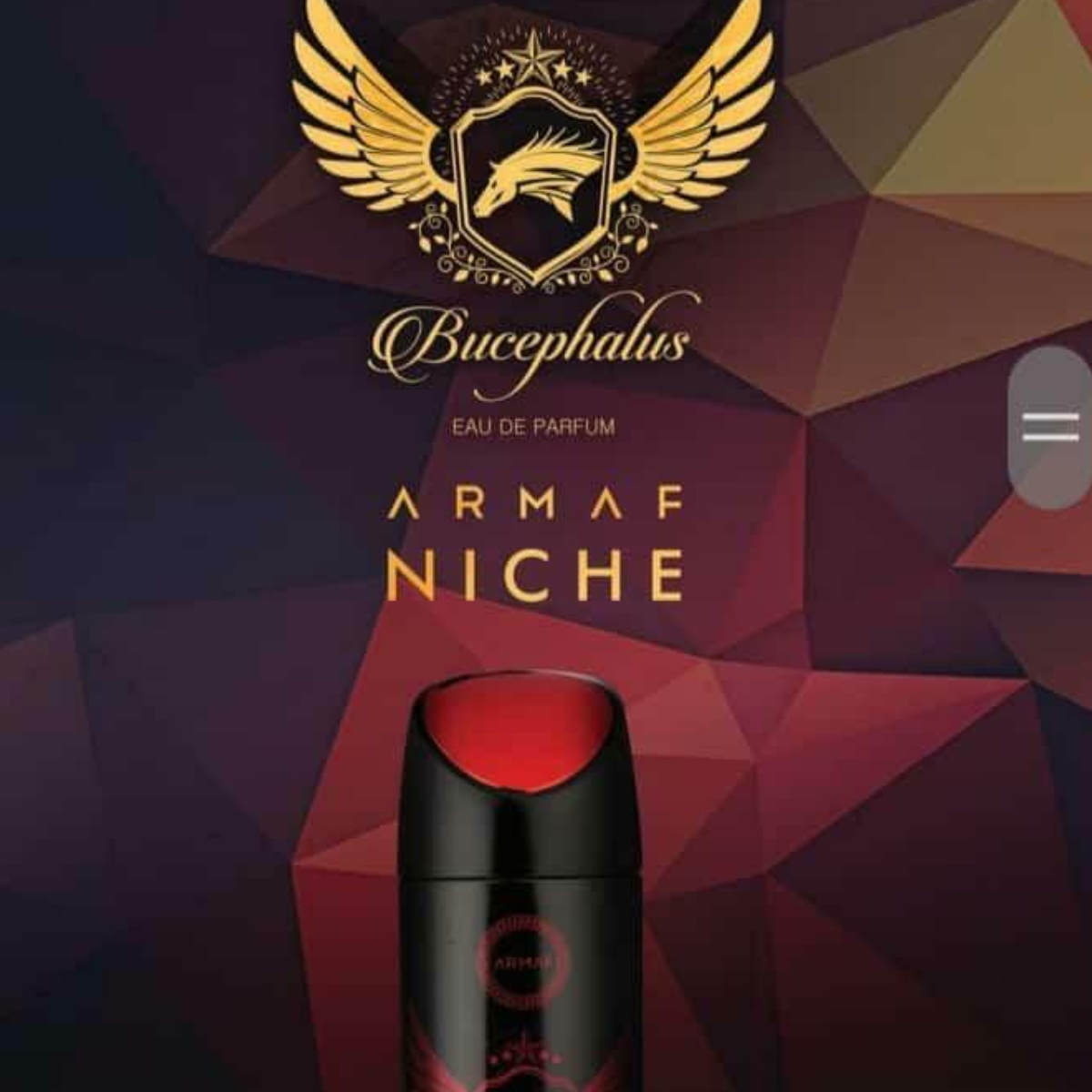 Spray Bucephalus XI - Aromática CR