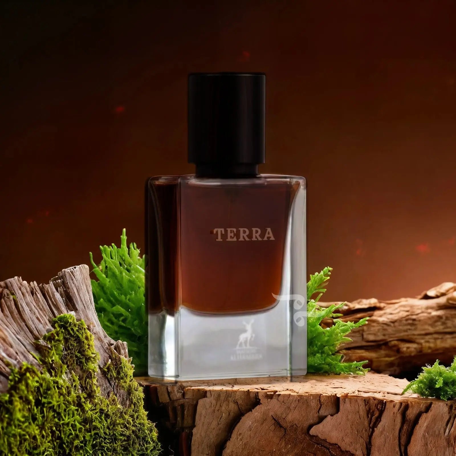 Terra - Aromática CR