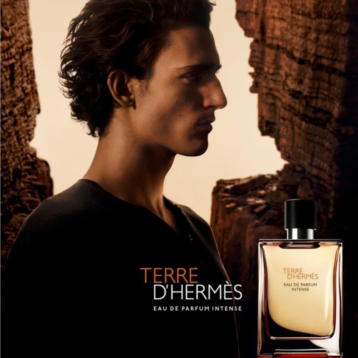 Terre d’Hermès Intense - Aromática CR