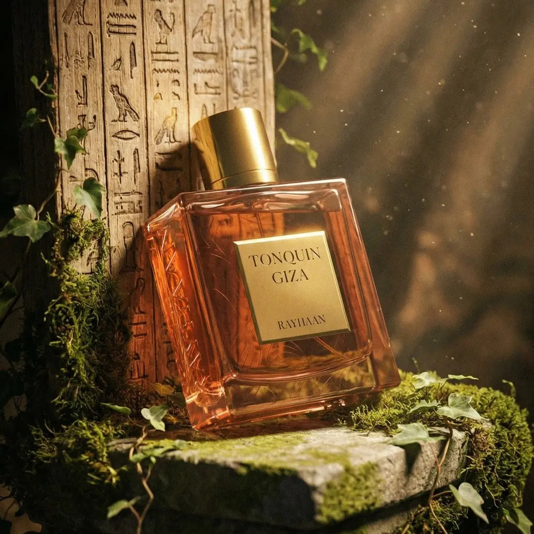 Tonquin Giza - Aromática CR
