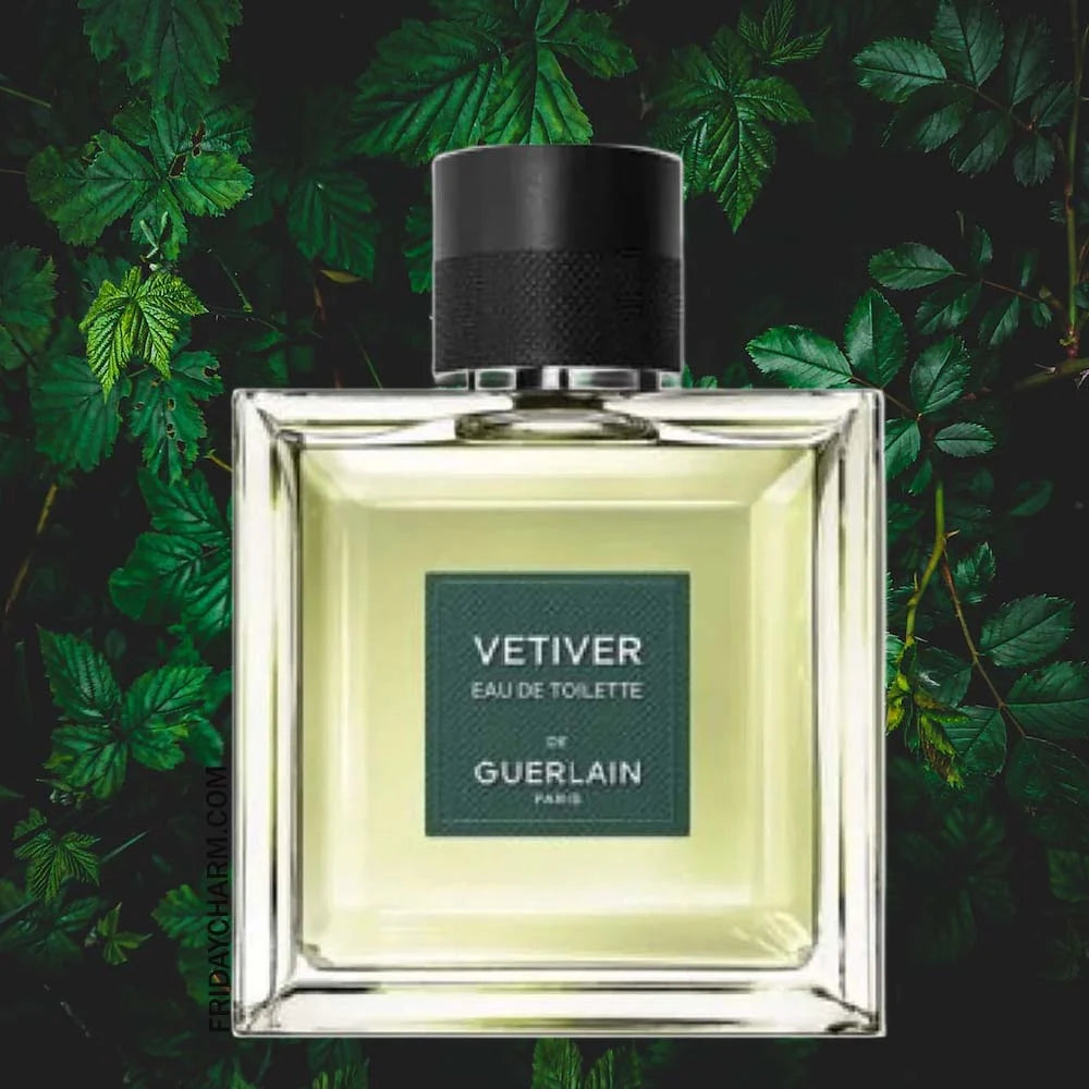 Vetiver - Aromática CR