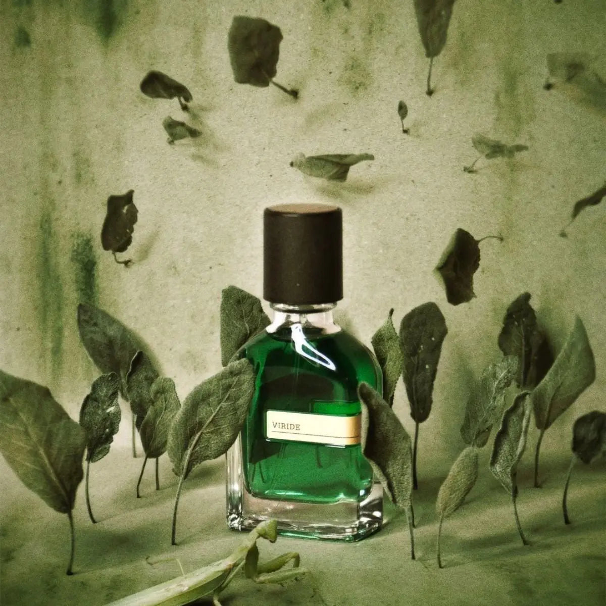 Viride - Aromática CR
