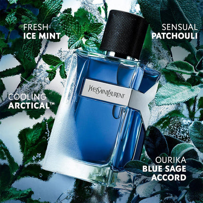 Y Iced Cologne - Aromática CR