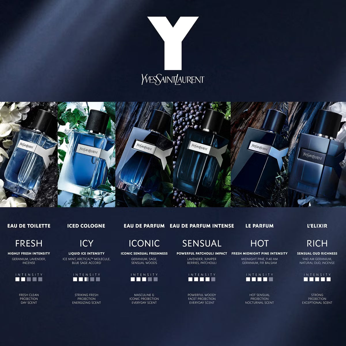 Y Iced Cologne - Aromática CR