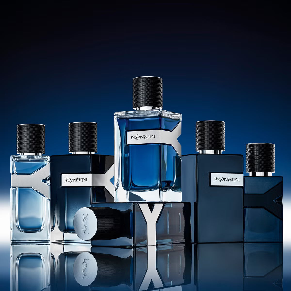 Y Live Intense - Aromática CR