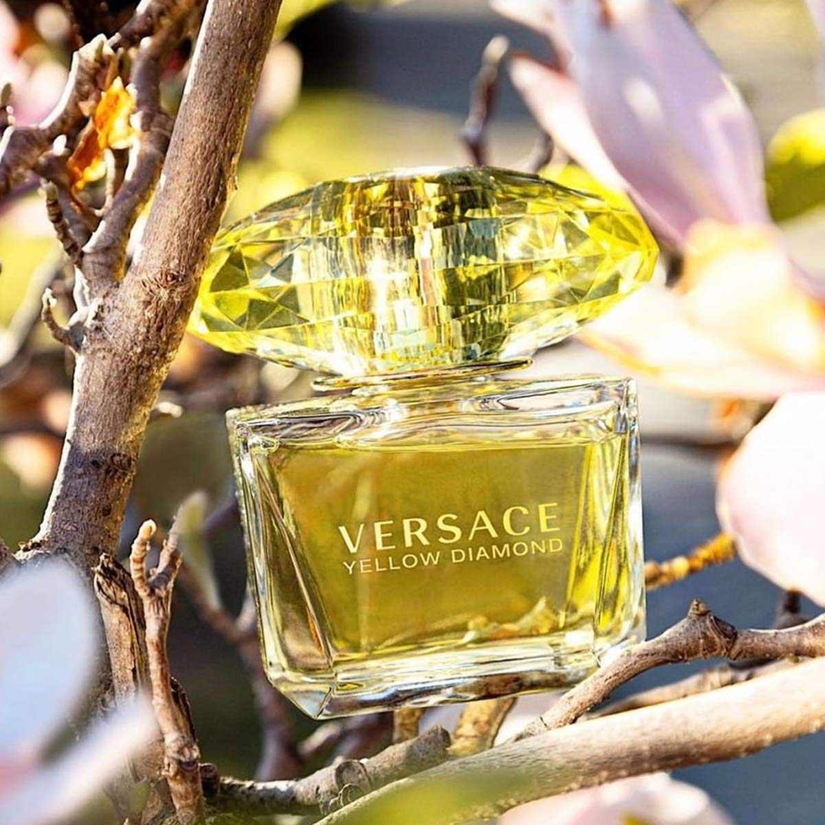 香水(女性用) Versace Yellow Diamond 50ml Celes (セレス) | Versace - Yellow Diamond (ヴェルサーチェ