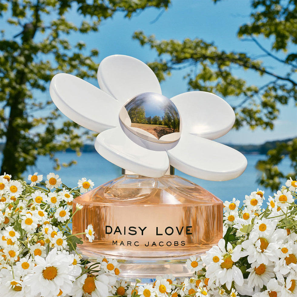 Daisy Love - Aromática CR